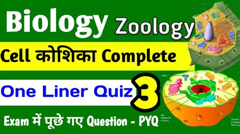 Cell Koshika One Liner Questions #3