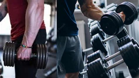 Warning Sign Exercise 的图像结果