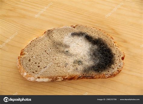 Black Bread Mold