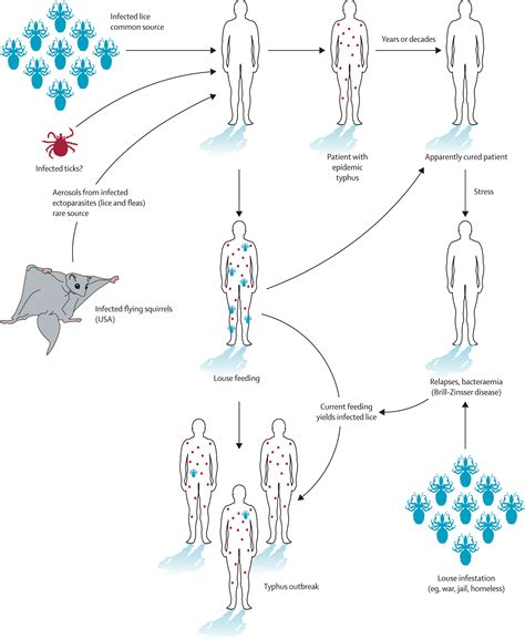 Epidemic typhus - The Lancet Infectious Diseases