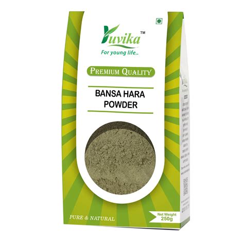 Bansa Hara Powder - Adusa - Adoosa - Vasa - Adhatoda vasica Nees ...