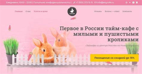 ТОП антикафе в Москве 2023, 10 лучших с животными, недорого, с ...