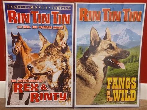 Alpha House Movie Poster