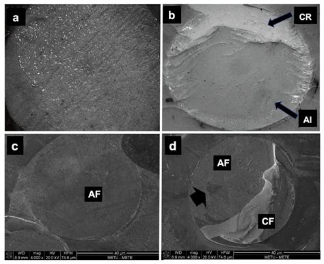Surface Gloss, Radiopacity and Shear Bond Strength of Contemporary ...