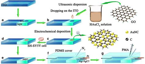 H2O2 Sensor 的图像结果
