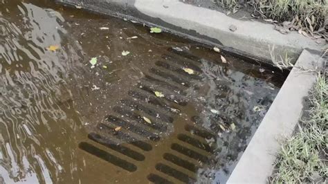 Flesh-eating bacteria cases more than double since Helene, Milton ...