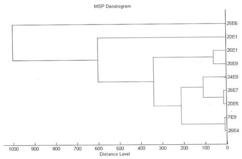 Slovak Local Ewe’s Milk Lump Cheese, a Source of Beneficial ...