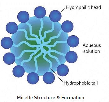 Micelle: Formation, Structure, Soap Action and Sample Questions ...