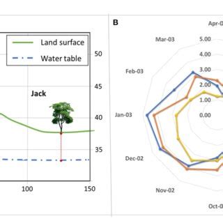 Image result for Undulation Training