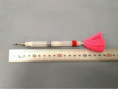 Japanische Frau versehentlich von einem Betäubungspfeil für einen Affen ...