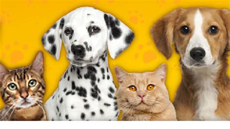 Quattrozampe in fiera 2016 a Napoli