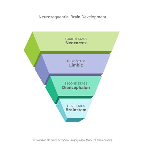 Beaconhouse Neurosequential Model 的图像结果