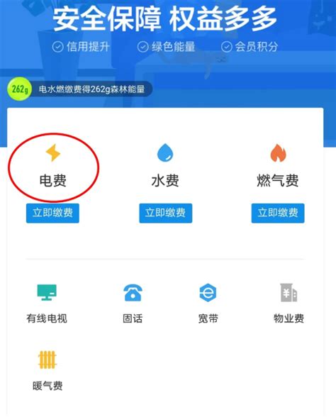 你知道了吗？南方电网电费缴费周期调整为每月一次啦！_用电