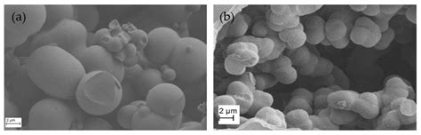 Hydrophobization of Monolithic Resorcinol-Formaldehyde Xerogels by ...