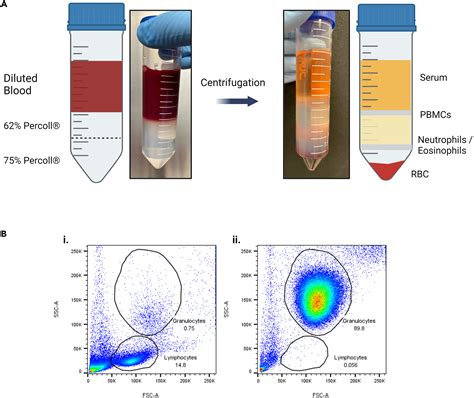 Cell Press: STAR Protocols