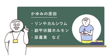 Image result for Basic Dog Protection Training