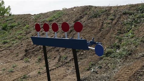 Image result for Steel Target Setups