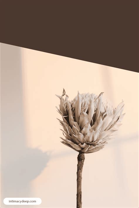 Image result for Normal People Intimacy