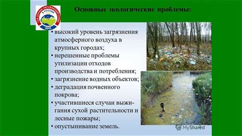 Основные экологические проблемы - презентация онлайн