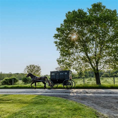 175+ Amazing Amish Names (Traditional and Biblical Boy and Girl Names ...