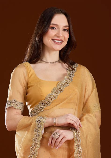 Buy Gold Cutdana Tissue Saree - Koskii