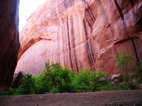 Weather Escalante Ut