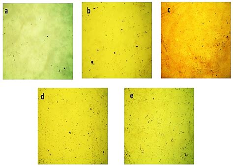 Surface Morphology, Roughness, and Structural Characteristics of Al1− ...