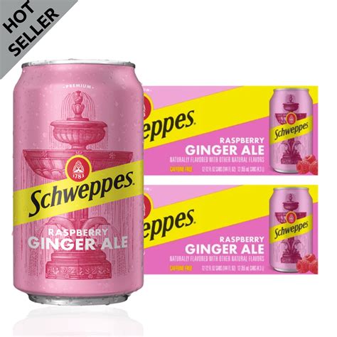 Schweppes Raspberry Ginger Ale, 24 Pack of 12 Fl Oz Cans - Walmart.com