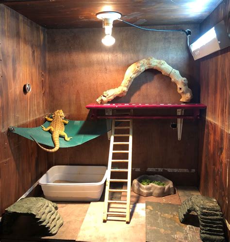 Easy Diy Bearded Dragon Enclosure