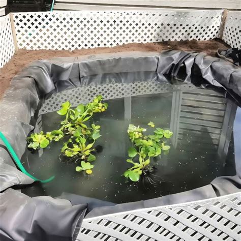 Image result for Building a Turtle Trap