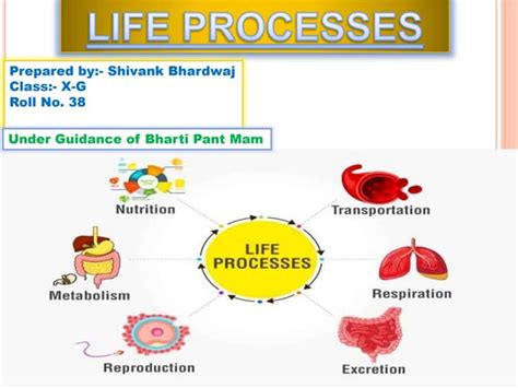 Image result for Class 9 Life Process Introduction