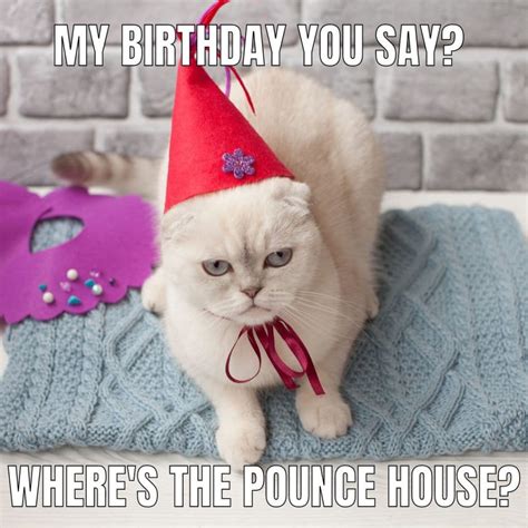 Happy Birthday Kitten Memes Free, Customizable, Printable Cat Card