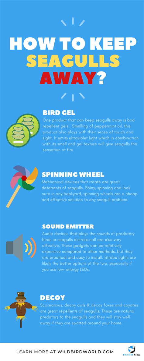 Prevent Birds from Invading Your Home