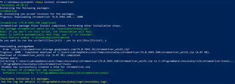 How to Open Website Automatic Using Python 的图像结果