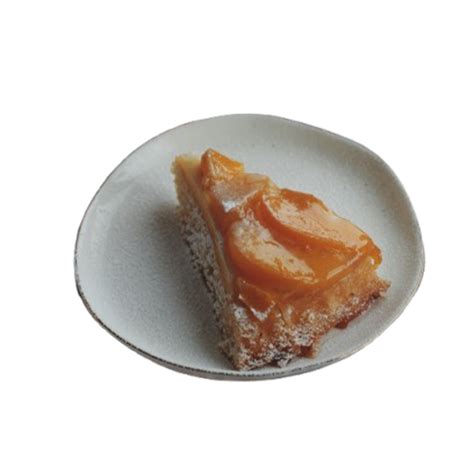 Vibrant Coast – Fraghill