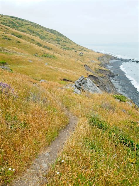 Lost Coast Trail - Backcountry Sights