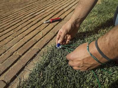 Miglior robot tagliaerba 2020: quale scegliere? (confronto)