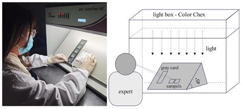 Digital Grading the Color Fastness to Rubbing of Fabrics Based on ...