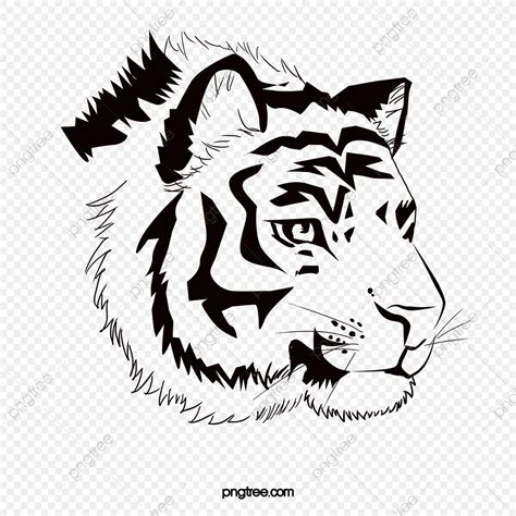 Tiger Vector 的图像结果