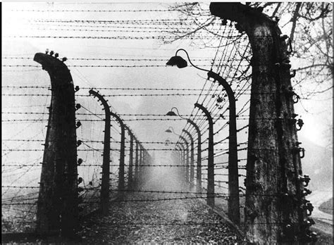 NCERT Summary Nazism and the Rise of Hitler (Class 9) - History for UPSC