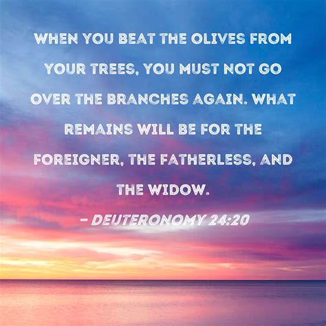 Deuteronomy 24:20 When you beat the olives from your trees, you must ...