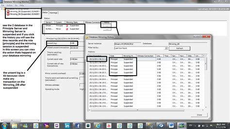 What Is Mirroring in SQL Server 的图像结果