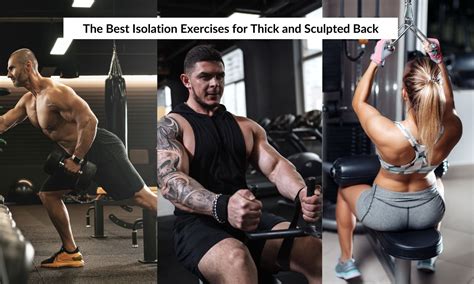 Image result for Core Isolation Exercises