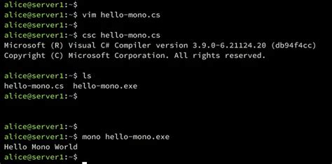 Mono .Net On Windows 的图像结果
