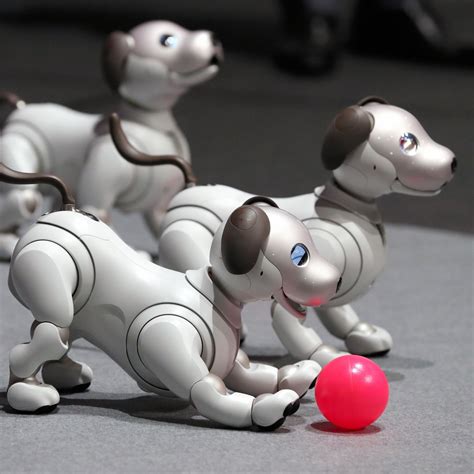 What Does The Aibo Robot Dog Do