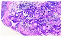 Medpulse Volume 8 Issue 2