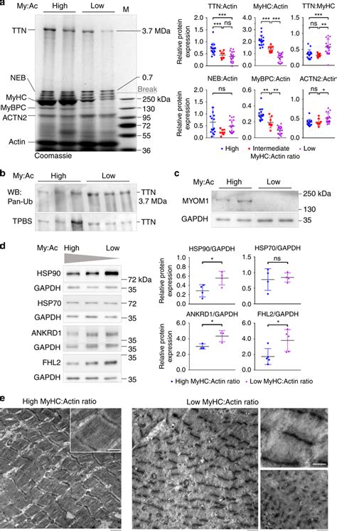 CIM Expression 的图像结果