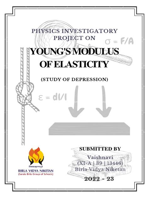 Modulus of This Project 的图像结果