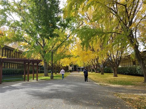 California State University, Sacramento - Acceptance Rate, Deadlines ...