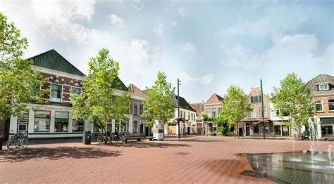 Combining water storage, trees and paving in a single design